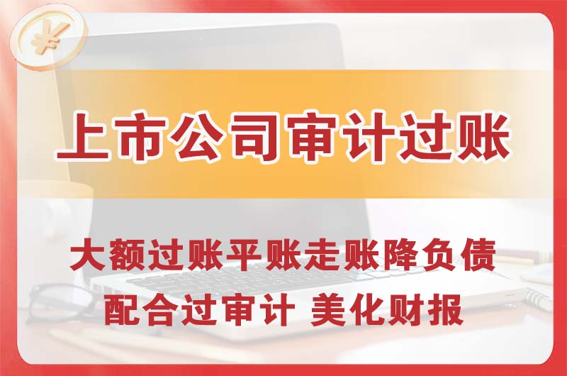 东湖上市公司审计过账